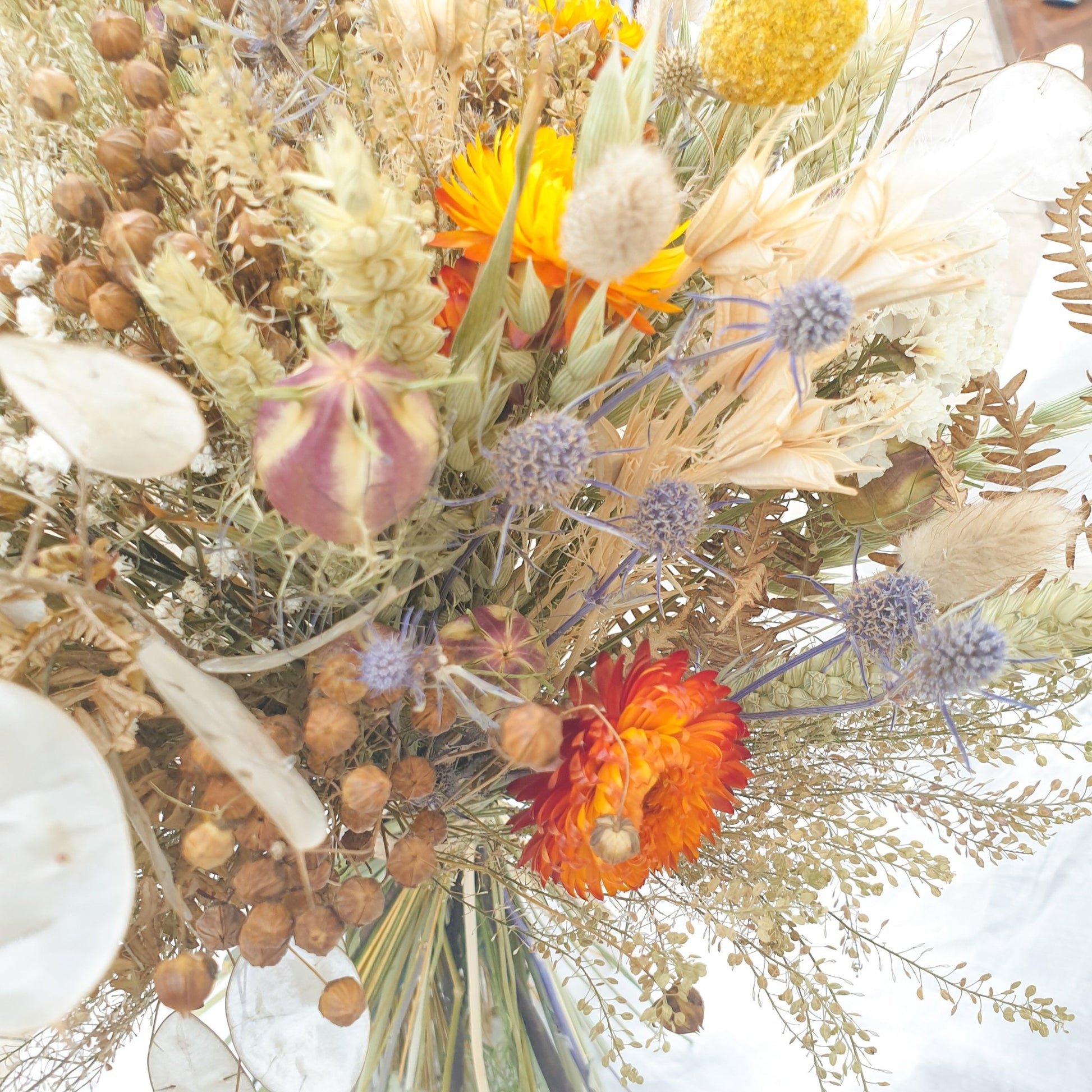 A close up of the Autumnal themed dried flower bouquet. You can see orange and yellow dried flowers, small blue thistles and fluffy bunny tail grasses. There are also green and brown filler stems and natural Welsh bracken foliage.