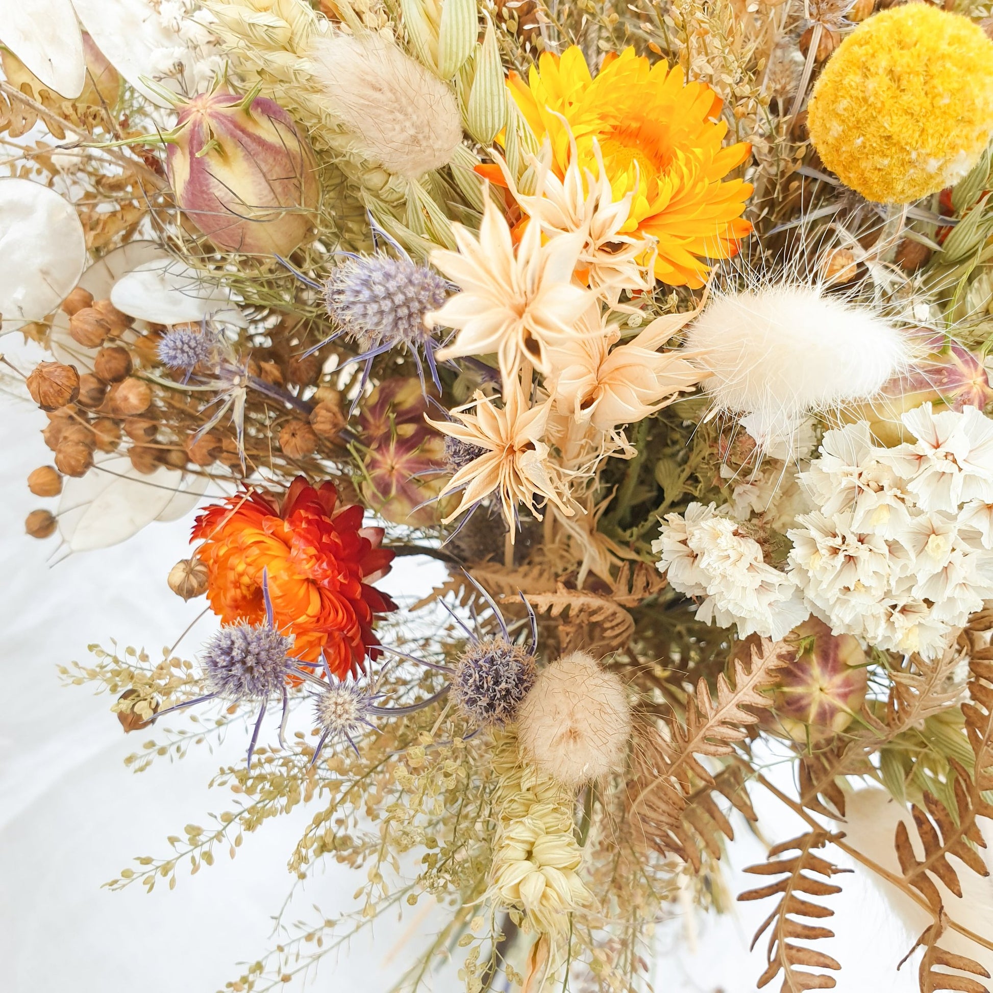 A close up of the Autumnal themed dried flower bouquet. You can see orange and yellow dried flowers, soft creamy white statice, cream nigella orientalis with it's structural, star shaped stems and silvery honesty. There are also small blue thistles and fluffy bunny tail grasses along with green and brown filler stems and natural Welsh bracken foliage.