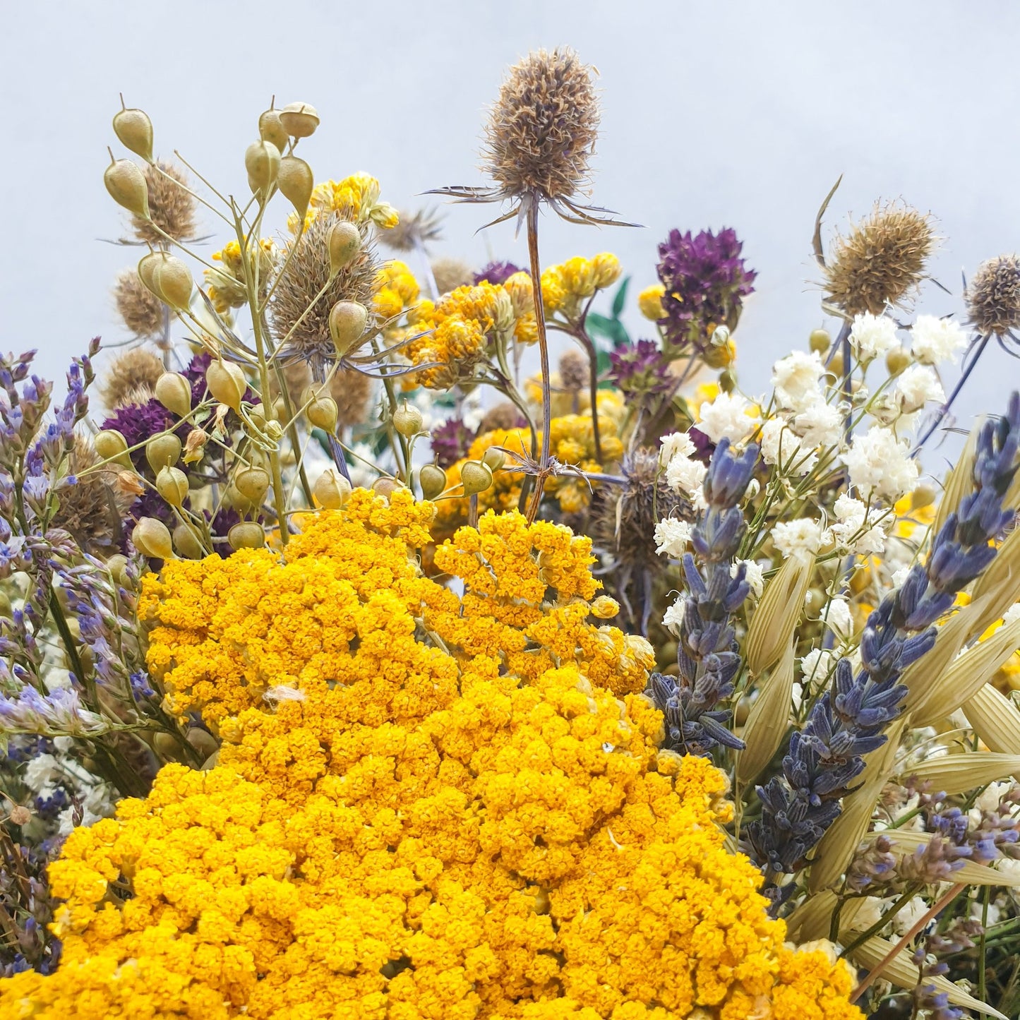 "Meadow Bliss" Dried Flower Bouquet - Lytton Rose Botanical