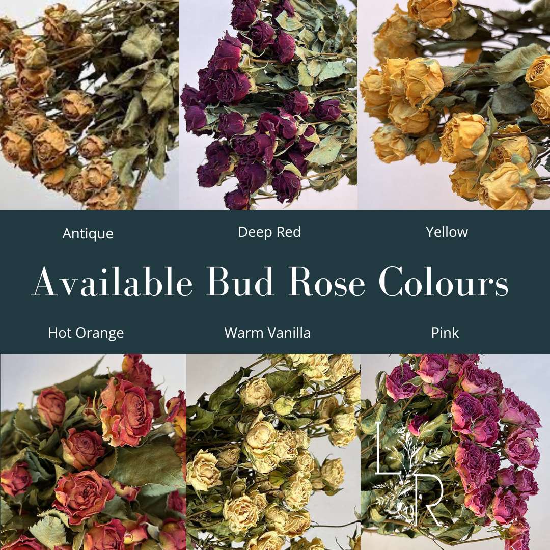 Six images showcasing dried bud roses in different colors. The top row shows Antique, Deep Red, and Yellow bud roses. The bottom row shows Hot Orange, Warm Vanilla, and Pink bud roses.