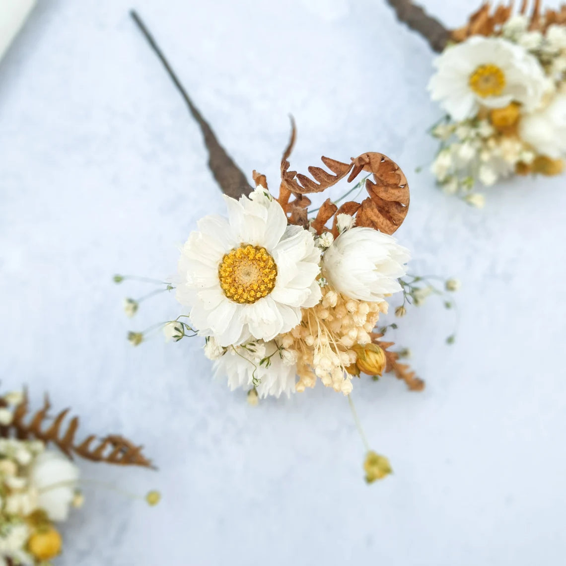 "Love in a Mist" Dried Flower Daisy & Fern Hair Pins - Lytton Rose Botanical