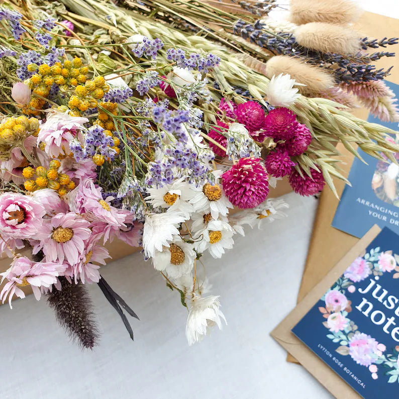 Dried Flower Mixed Box- Wildflower Fields - Lytton Rose Botanical