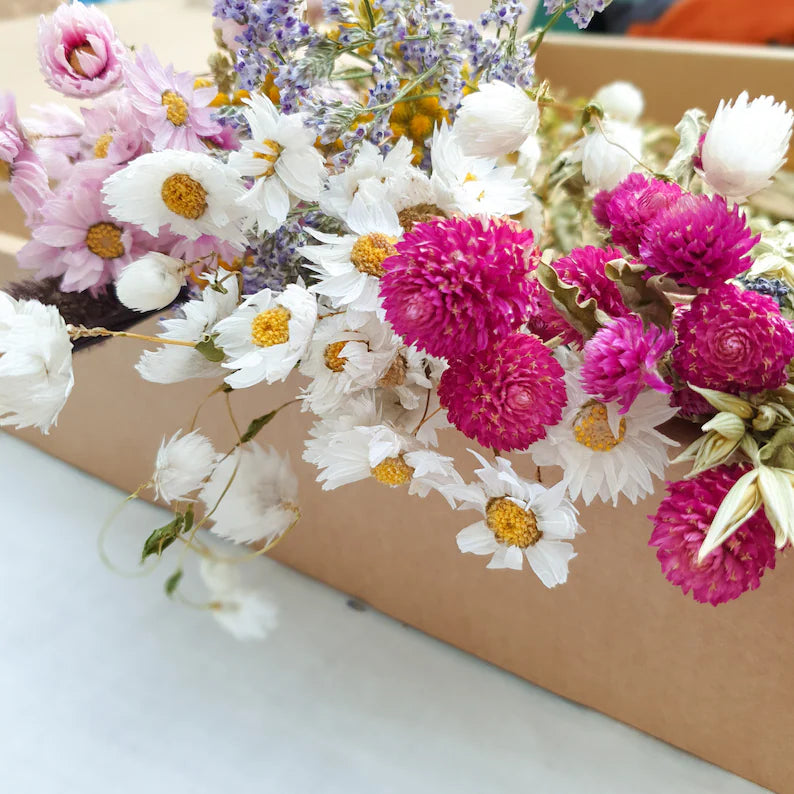 Dried Flower Mixed Box- Wildflower Fields - Lytton Rose Botanical