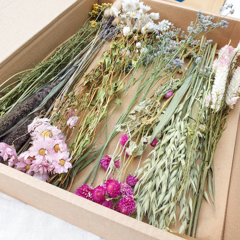 Dried Flower Mixed Box- Wildflower Fields - Lytton Rose Botanical