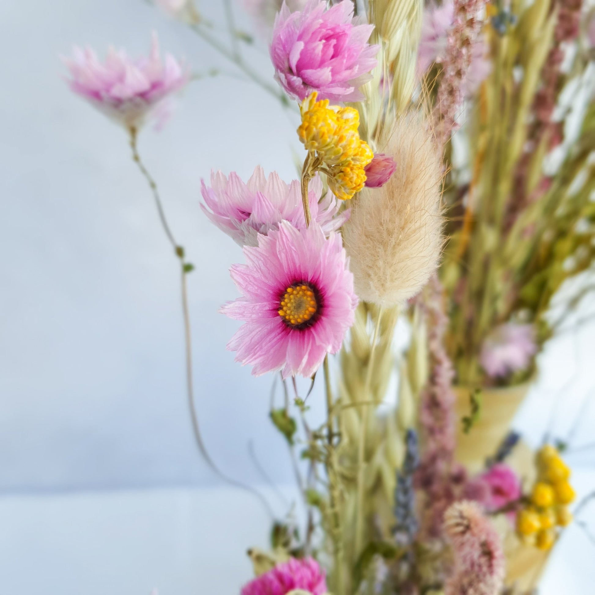 Dried Flower Mixed Box- Wildflower Fields by Lytton Rose Botanical. A close-up image highlighting the intricate details of a dried flower arrangement. Delicate pink daisies with yellow centers take center stage, surrounded by soft, fluffy dried grasses and other pink, yellow and lavender coloured flowers.