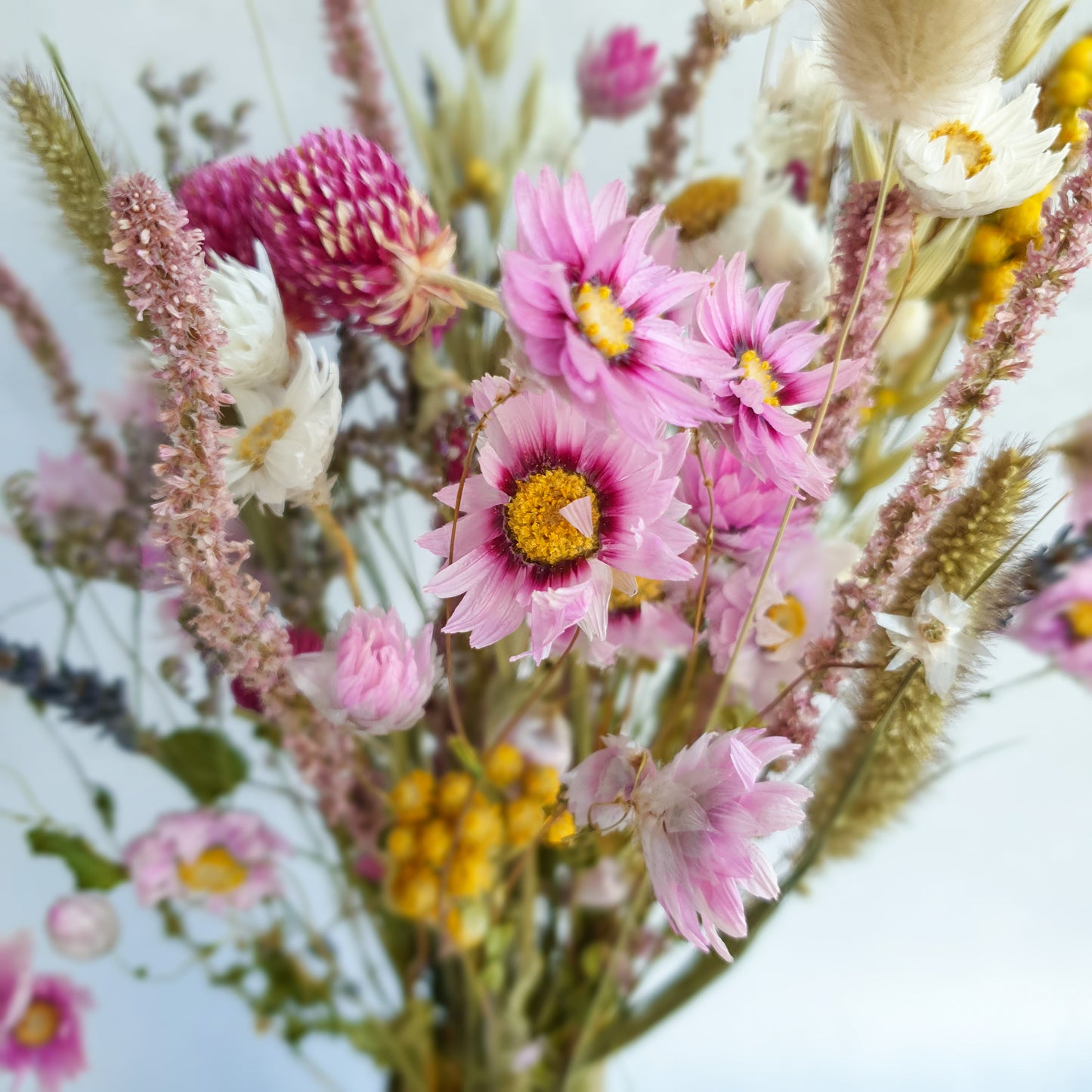 Dried Flower Mixed Box- Wildflower Fields by Lytton Rose Botanical. A close-up image highlighting the intricate details of a dried flower arrangement. Delicate pink daisies with yellow centers take center stage, surrounded by soft, fluffy dried grasses and other pink, yellow and lavender coloured flowers.