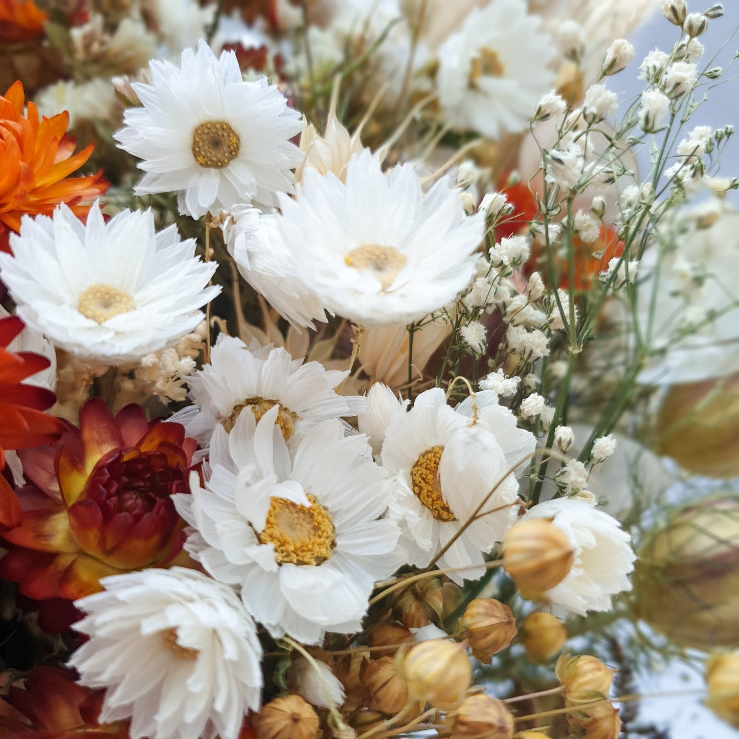 "Forest Glow" Dried Flower Bouquet - Lytton Rose Botanical